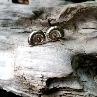 Spirula Shell Stud Earrings